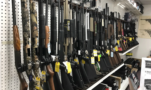 gun stores