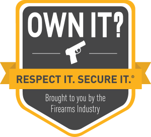 firearm safety